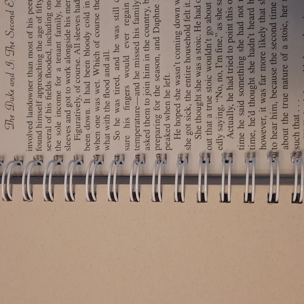 Secret Journal- Bridgerton The Duke and I - handmade journal - Picture 5 of 7